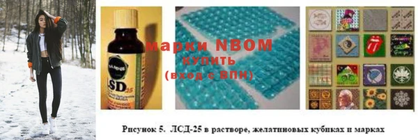 дживик Надым