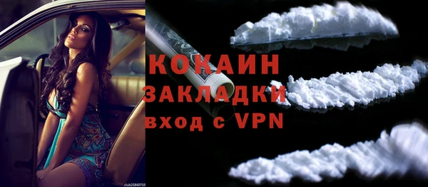 дживик Надым