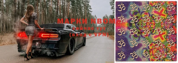 дживик Надым