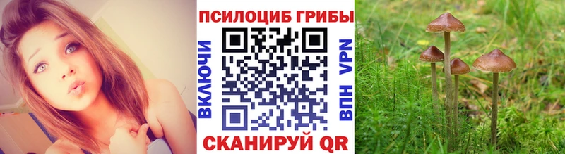 Псилоцибиновые грибы Cubensis  Назрань 