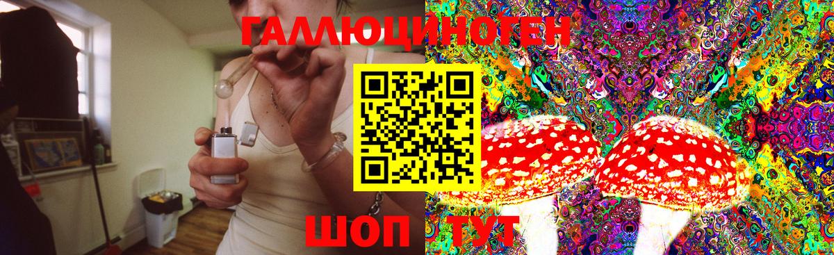 Псилоцибиновые грибы Psilocybe  Псилоцибиновые грибы Psilocybe  Назрань 