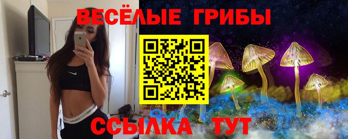 Назрань  Псилоцибиновые грибы Psilocybine cubensis  Вход с VPN 